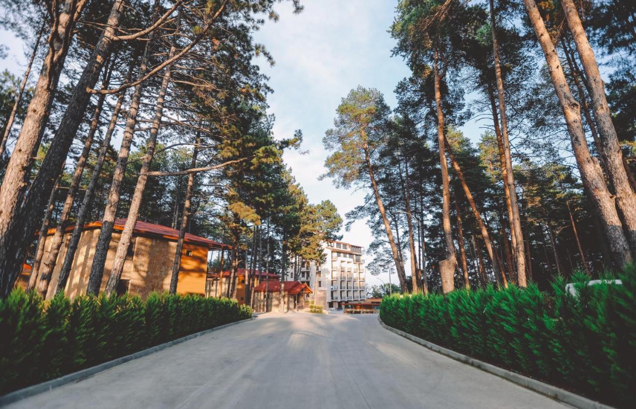 Zuzumbo Resort & Spa Telavi Luaran gambar