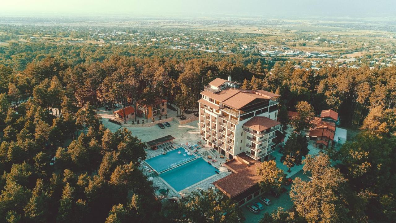 Zuzumbo Resort & Spa Telavi Luaran gambar