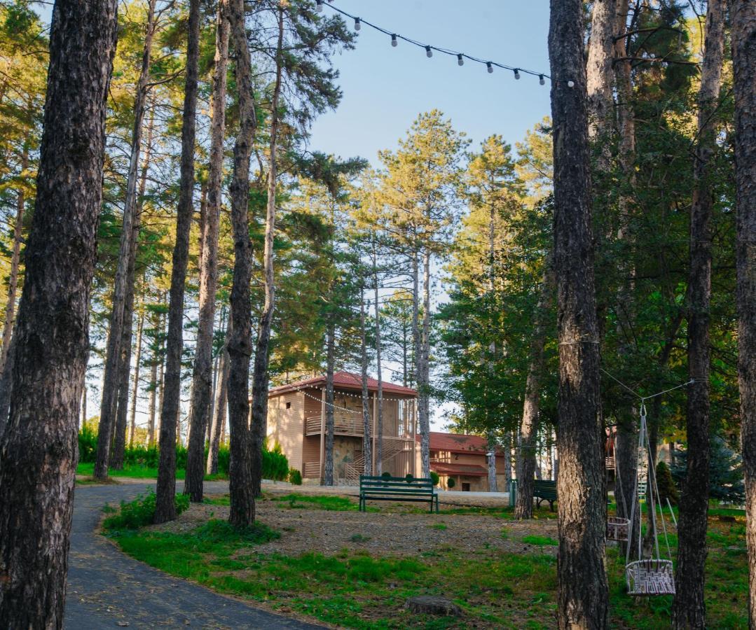 Zuzumbo Resort & Spa Telavi Luaran gambar